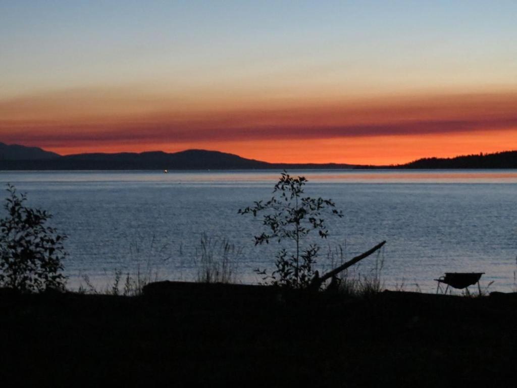 Maxwelton Beach Sunsets! Kayaks & Paddleboards! 1 Min Walk To The Water! Clinton Buitenkant foto