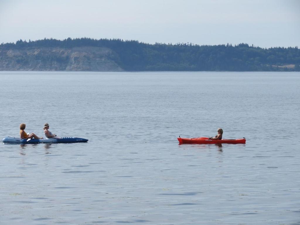 Maxwelton Beach Sunsets! Kayaks & Paddleboards! 1 Min Walk To The Water! Clinton Buitenkant foto