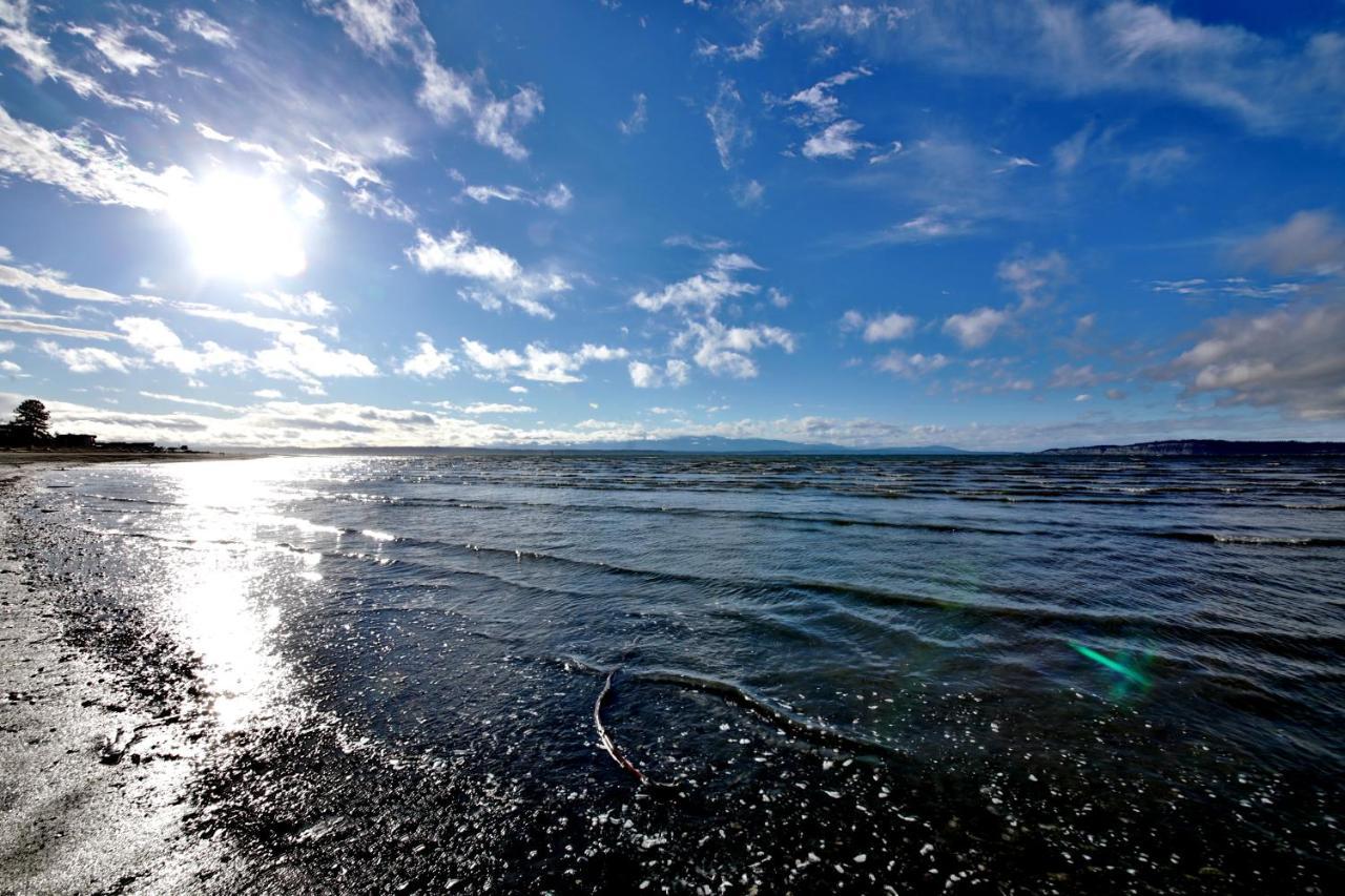 Maxwelton Beach Sunsets! Kayaks & Paddleboards! 1 Min Walk To The Water! Clinton Buitenkant foto